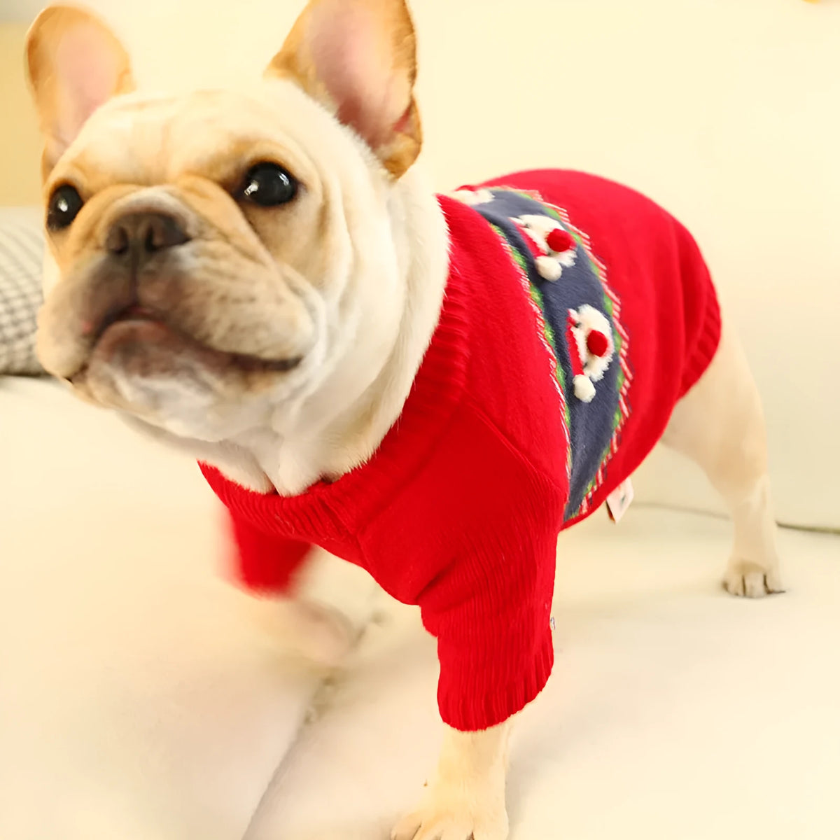 Christmas dog sweater in Santa Claus red polyester, casual pet jumper available in sizes S to XL