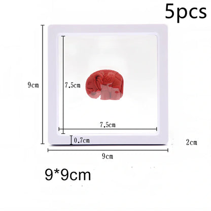 Black 11x11cm suspended 3D floating display frame holding a coin, with square base for stable collectible showcase