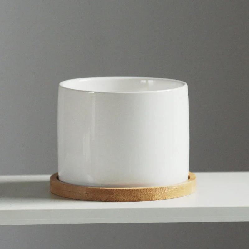 White ceramic flower pot with bamboo tray support for succulents and green plants