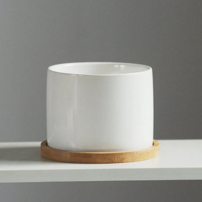 White ceramic flower pot with bamboo tray support for succulents and green plants