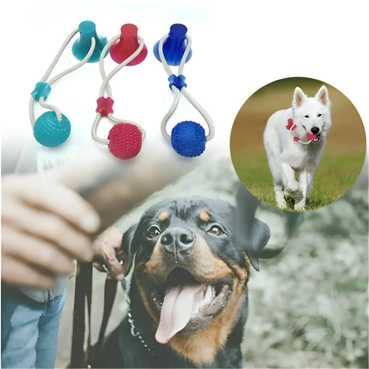 Dog biting sucker multifunction pet molar bite toy with rubber, TPR and cotton fibre rope in red, blue, green, orange or purple