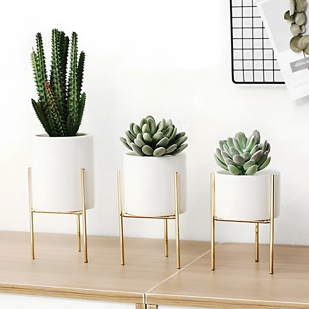 Black iron frame with white ceramic succulent flowerpot in 12.5cm and 16.5cm diameter sizes