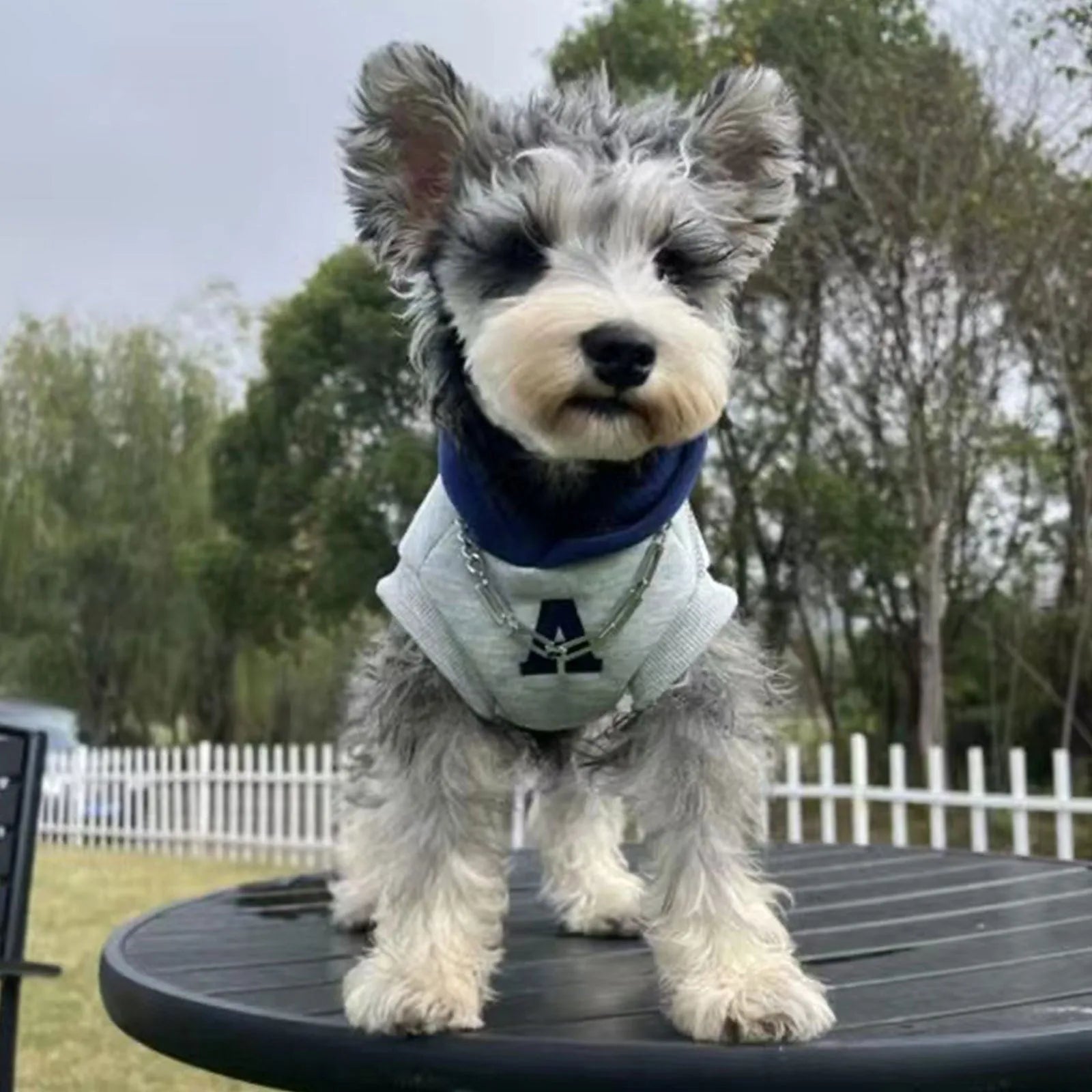 Blue and grey-white slim-fitting hooded sweater for dogs or cats with reflective lettering.