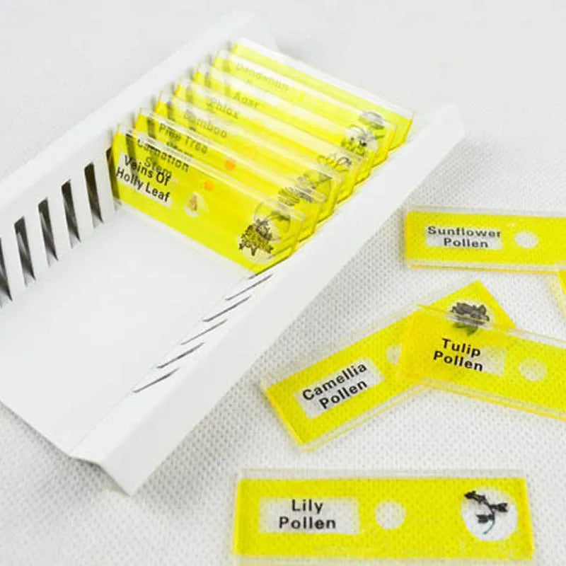 Four colour-coded boxes containing plastic microscope slides with plant rhizome and animal specimen samples for children
