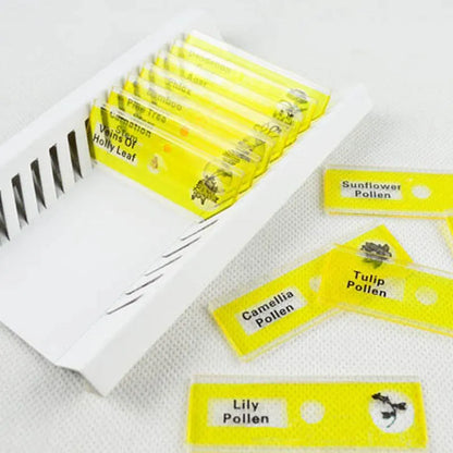 Four colour-coded boxes containing plastic microscope slides with plant rhizome and animal specimen samples for children