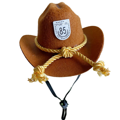 British cowboy hat for a cat on a stand, showing brown non woven fabric with a black ribbon trim.