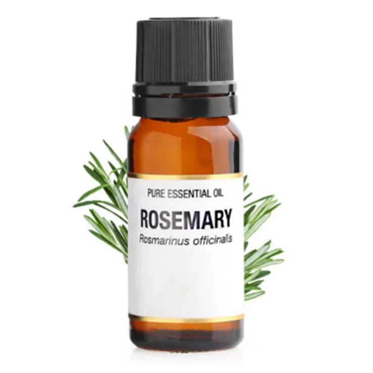 10ml bottle of pure rosemary essential oil for skincare and aromatherapy applications