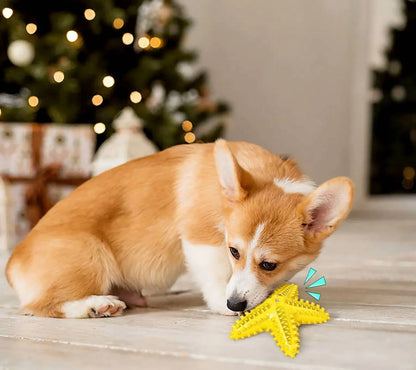 Starfish Vocal Pet Dog Toy Molar Stick in lake blue, yellow, and green