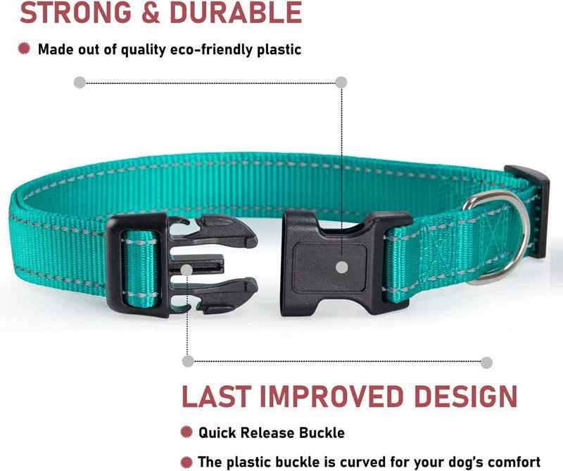Nylon adjustable dog collar with chest strap in multiple colour options on a white background