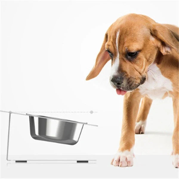 Anti-falling cat dog feeding water bowl in stainless steel with inclined design