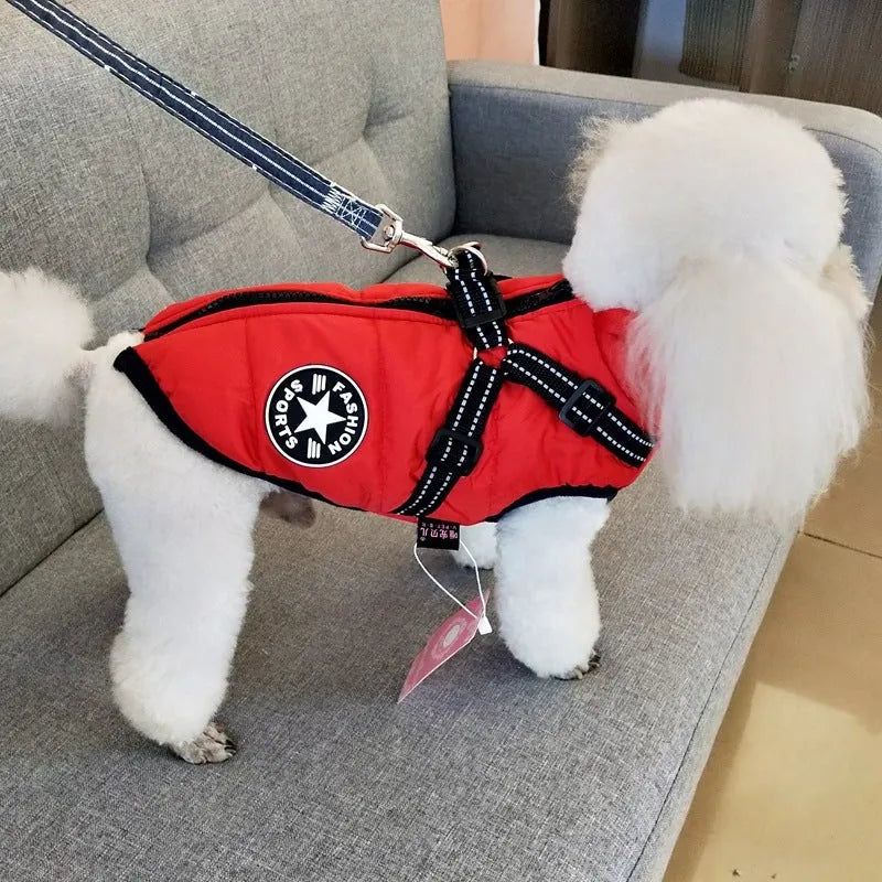 Red waterproof dog coat with built-in harness on a large dog, showing warm lining and sizing for winter.