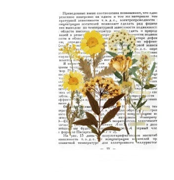 Herbarium Series DIY Plant Stickers pack featuring vibrant plant designs for creative projects