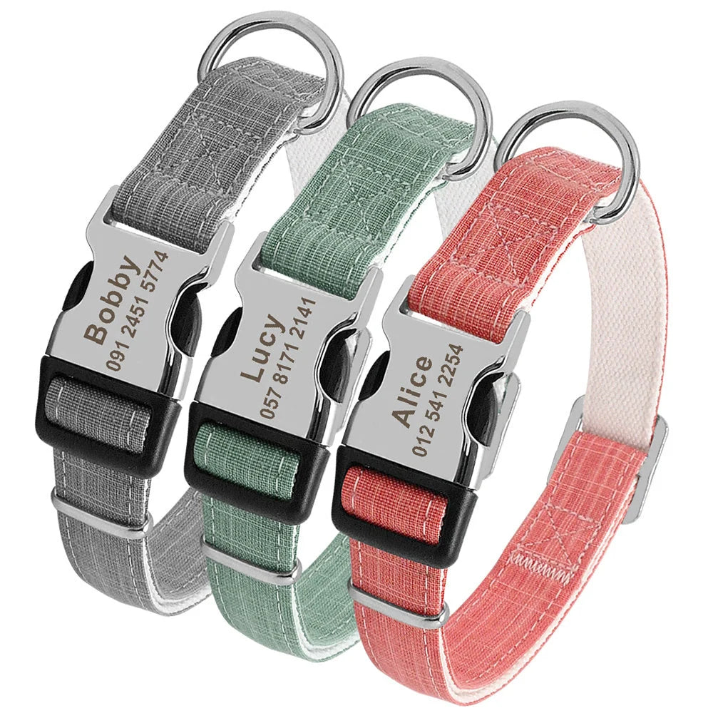 Custom dog collar with engraved tag in various colours and sizes