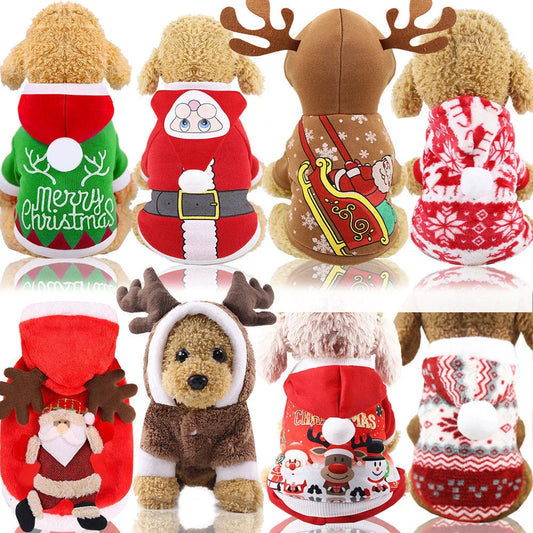 Stylish pet clothing collection featuring a range of cozy and fashionable outfits for dogs and cats
