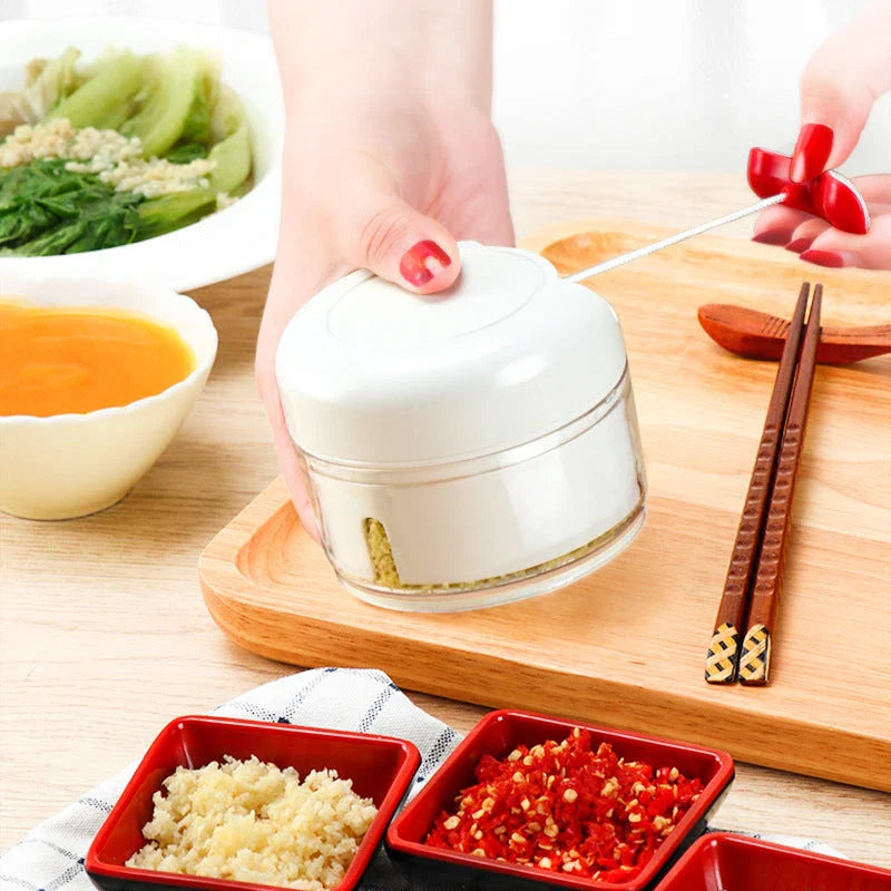 A versatile manual food chopper with self-locking blade mechanism, suitable for chopping a variety of ingredients in the kitchen.