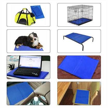 Blue dog cooling mat with pressure-activated ice crystal technology for summer heat relief