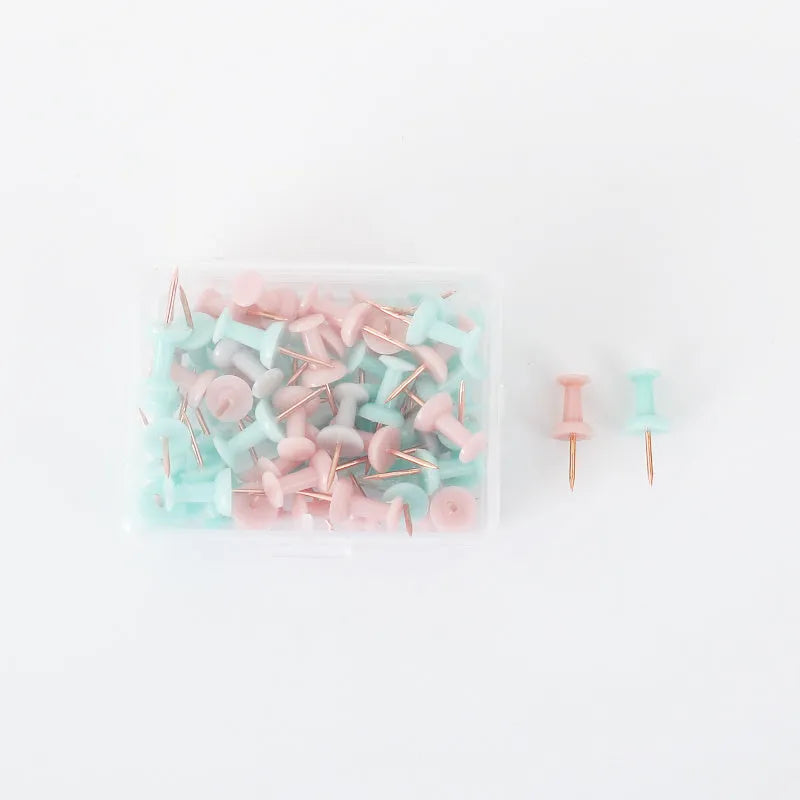 50-piece Creative Morandi colour push pin set with green, grey, pink, and mixed options