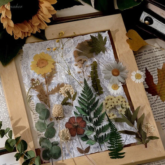 Herbarium Series DIY Plant Stickers pack featuring vibrant plant designs for creative projects