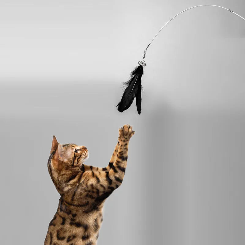 Telescopic cat fishing rod toy extended to 80cm with goose feather lure and bell
