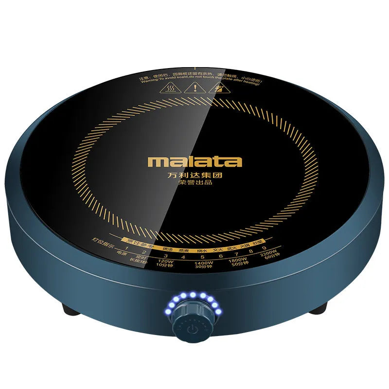 Induction cooker with circular glass hob and knob control