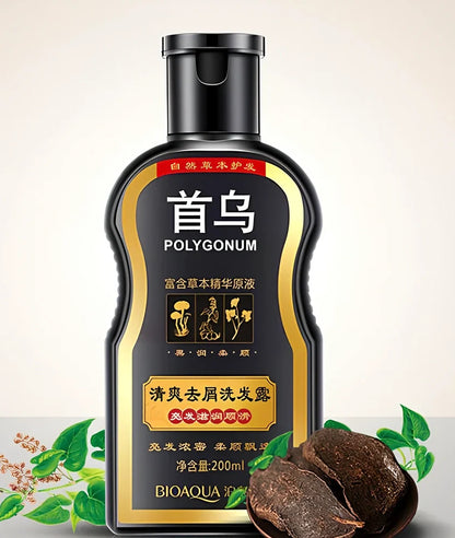 Polygonum multiflorum herbal shampoo bottle with seven botanical extracts for hair moisture and shine