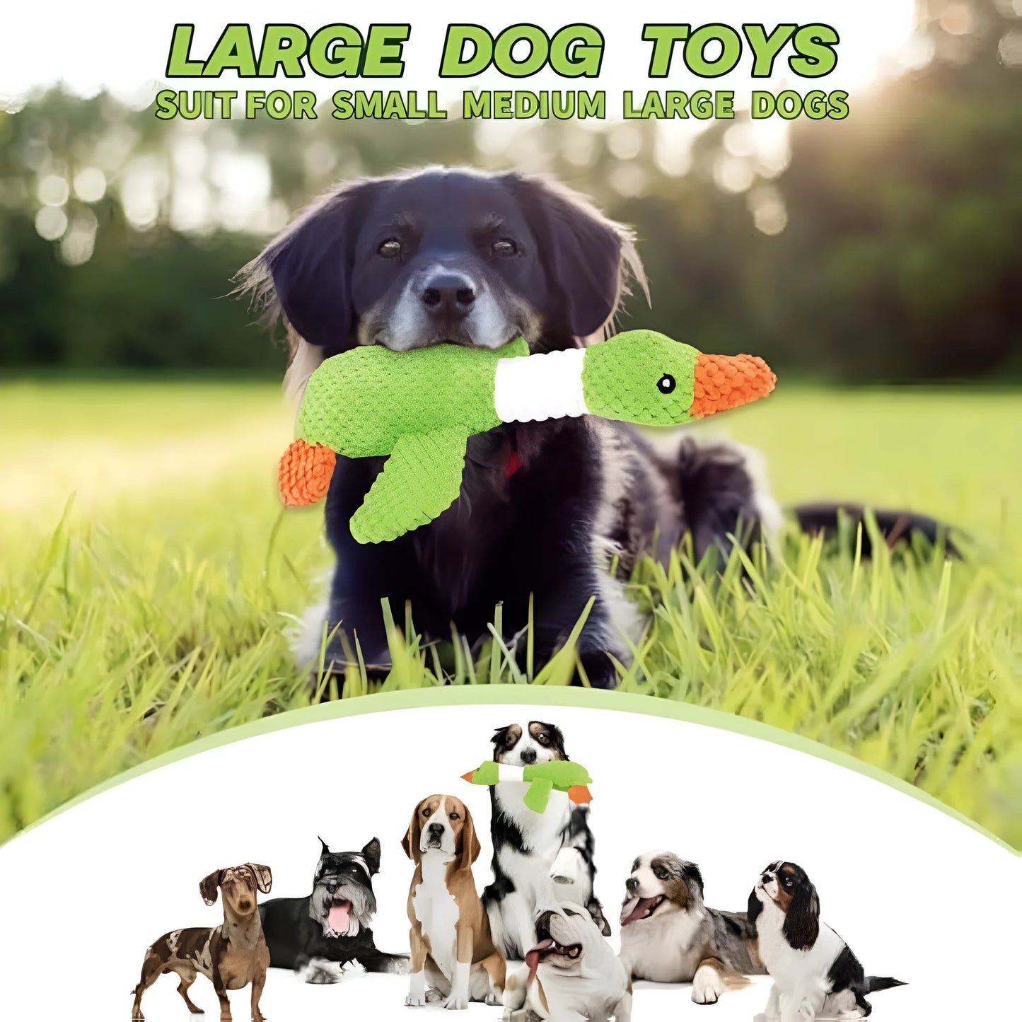 Blue duck-shaped dog plush toy with two squeakers for dental cleaning, 33 cm by 10 cm