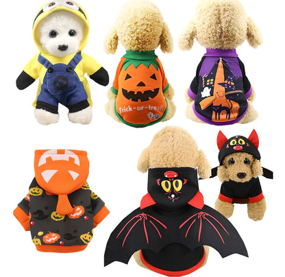 Halloween pet costume with pumpkin design on small cat, available in purple and yellow colours with multiple size options