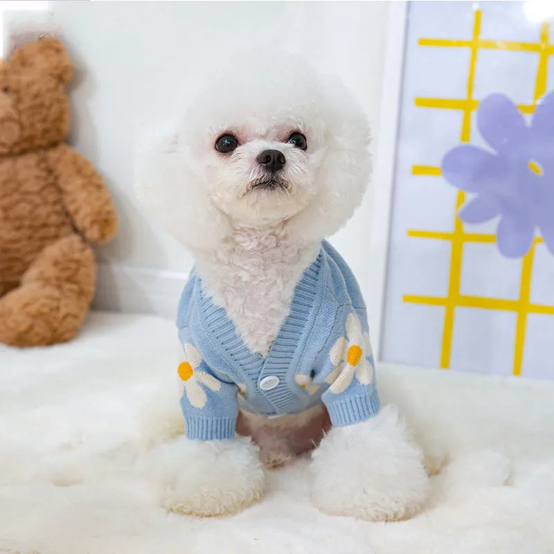 Blue and checkerboard patterned dog coats for small breeds on a white background.