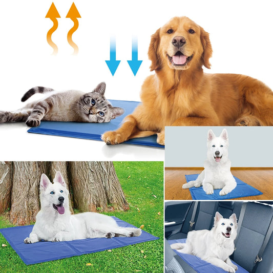 Blue dog cooling mat with pressure-activated ice crystal technology for summer heat relief