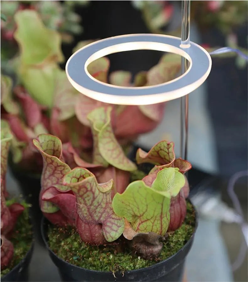 USB LED plant grow light with acrylic stick in multiple head configurations