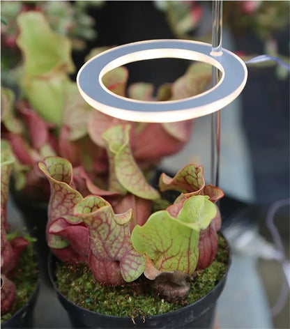USB LED plant grow light with acrylic stick in multiple head configurations