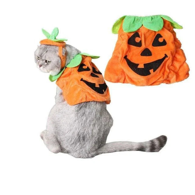 Pumpkin-themed Halloween costume for cats, featuring a plush hat and dress with vibrant patterns and leaf accents