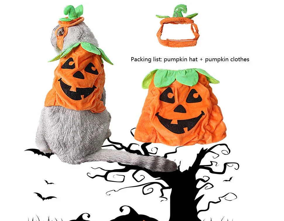 Pumpkin-themed Halloween costume for cats, featuring a plush hat and dress with vibrant patterns and leaf accents