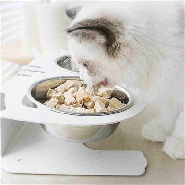Anti-falling cat dog feeding water bowl in stainless steel with inclined design