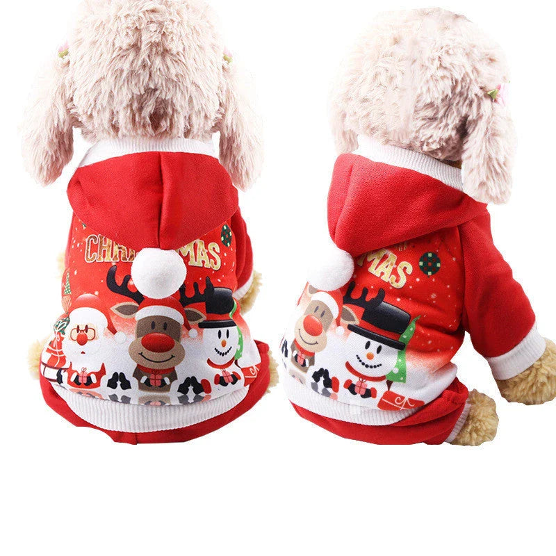 Stylish pet clothing collection featuring a range of cozy and fashionable outfits for dogs and cats