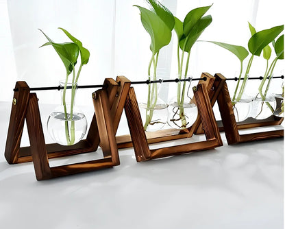 Glass tabletop plant with LED lighting in tempered glass enclosure measuring 15cm diameter