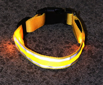 LED luminous dog collar with nylon webbing in multiple colour options showing illumination