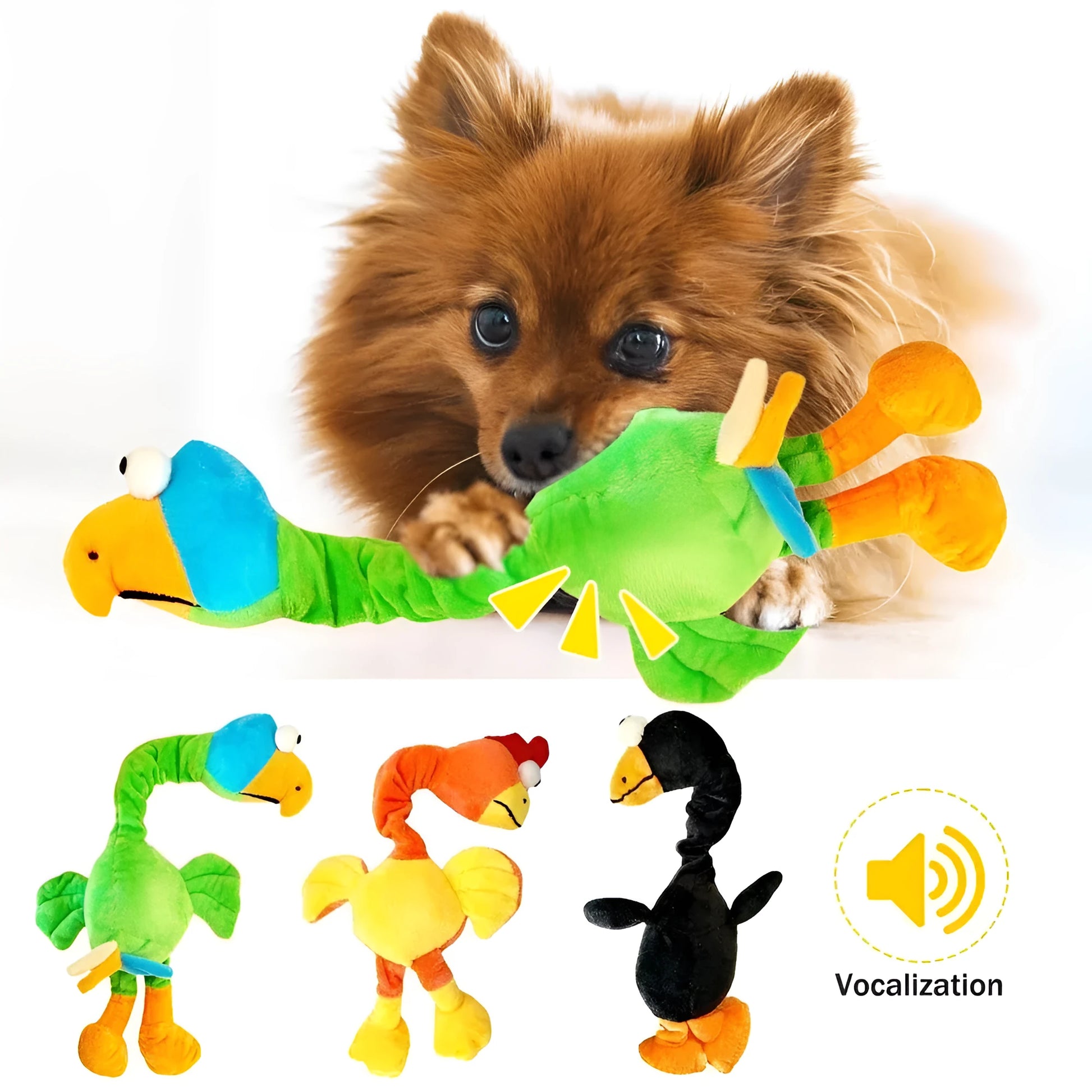 Screaming chicken sound dog chew toy in black, green and orange colours