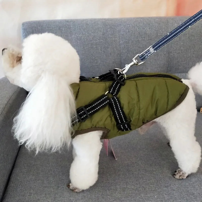 Red waterproof dog coat with built-in harness on a large dog, showing warm lining and sizing for winter.