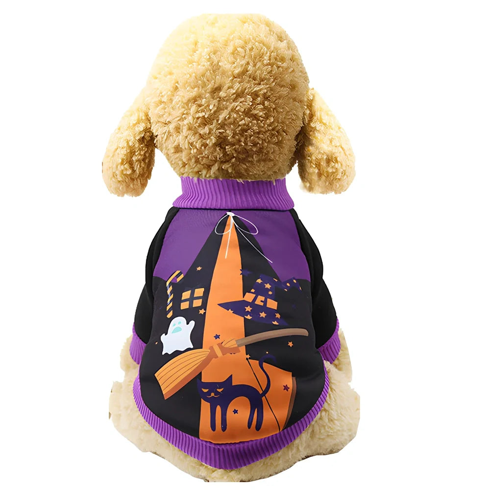 Halloween pet costume with pumpkin design on small cat, available in purple and yellow colours with multiple size options