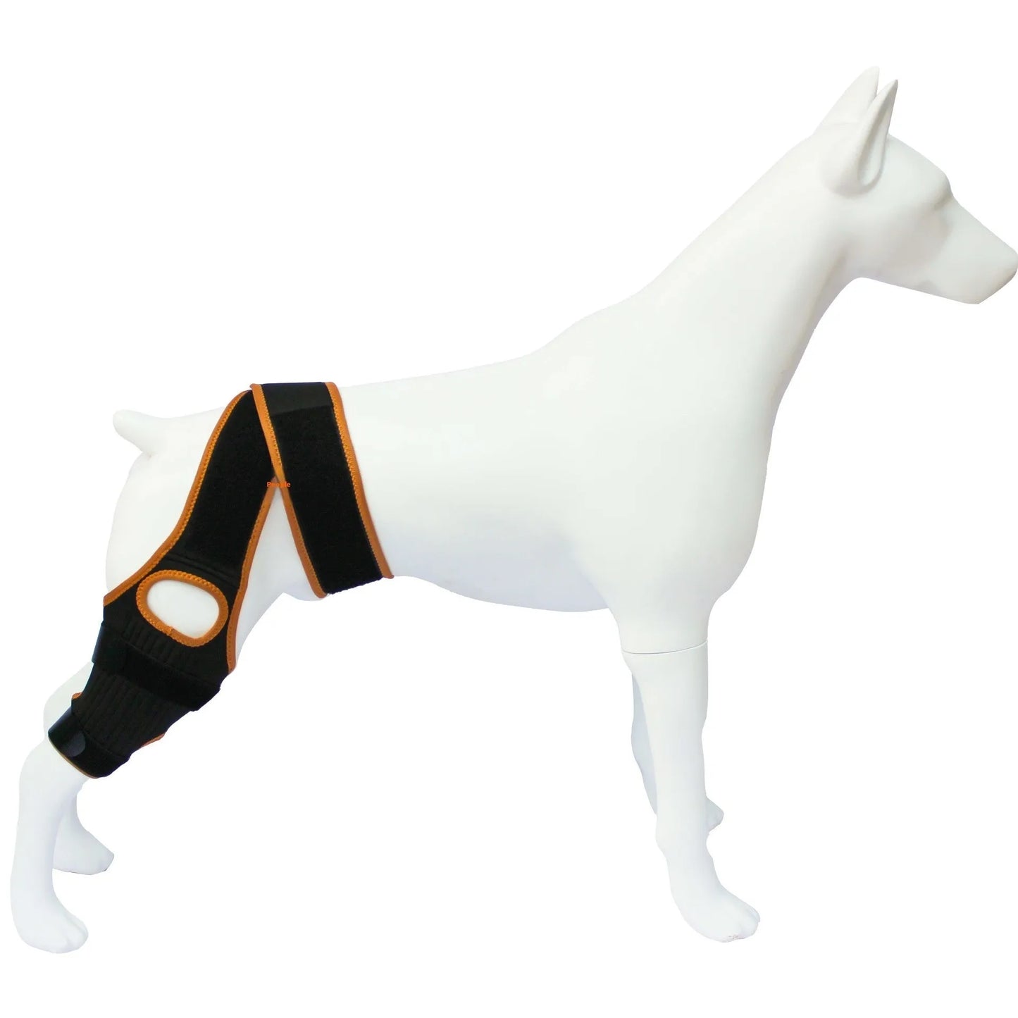 Adjustable neoprene dog hind leg support brace for hip dysplasia and arthritis.