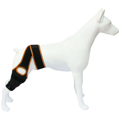 Adjustable neoprene dog hind leg support brace for hip dysplasia and arthritis.