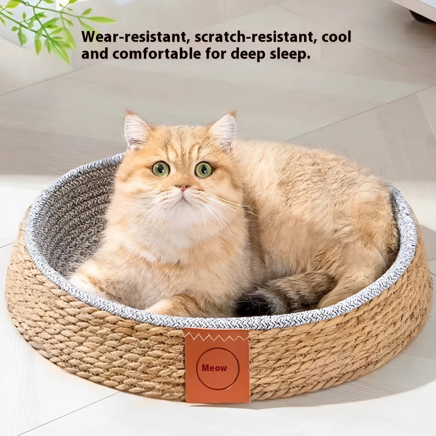 Rattan cat nest bed cage showing woven construction and elevated design for feline sleeping comfort