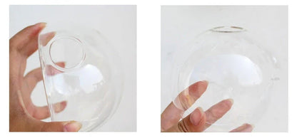 Wall-mounted glass flower vase and terrarium with various design options for customization and decoration