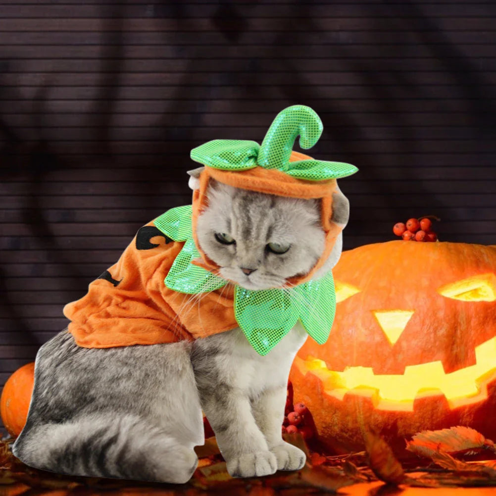 Pumpkin-themed Halloween costume for cats, featuring a plush hat and dress with vibrant patterns and leaf accents