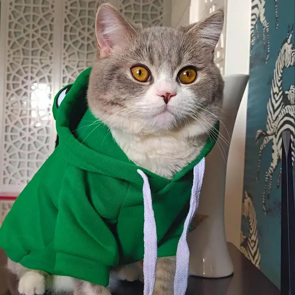 Green frog costume hoodie on small dog showing hood and four-leg design