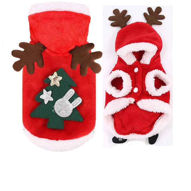 Stylish pet clothing collection featuring a range of cozy and fashionable outfits for dogs and cats