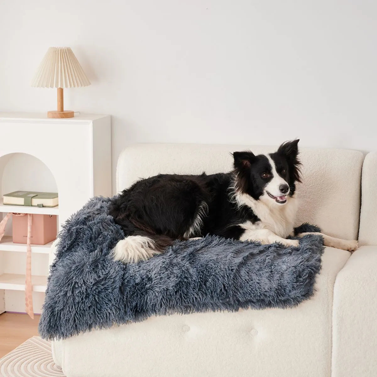 Light grey double-layer velvet plush pet blanket folded on a sofa next to a dog.