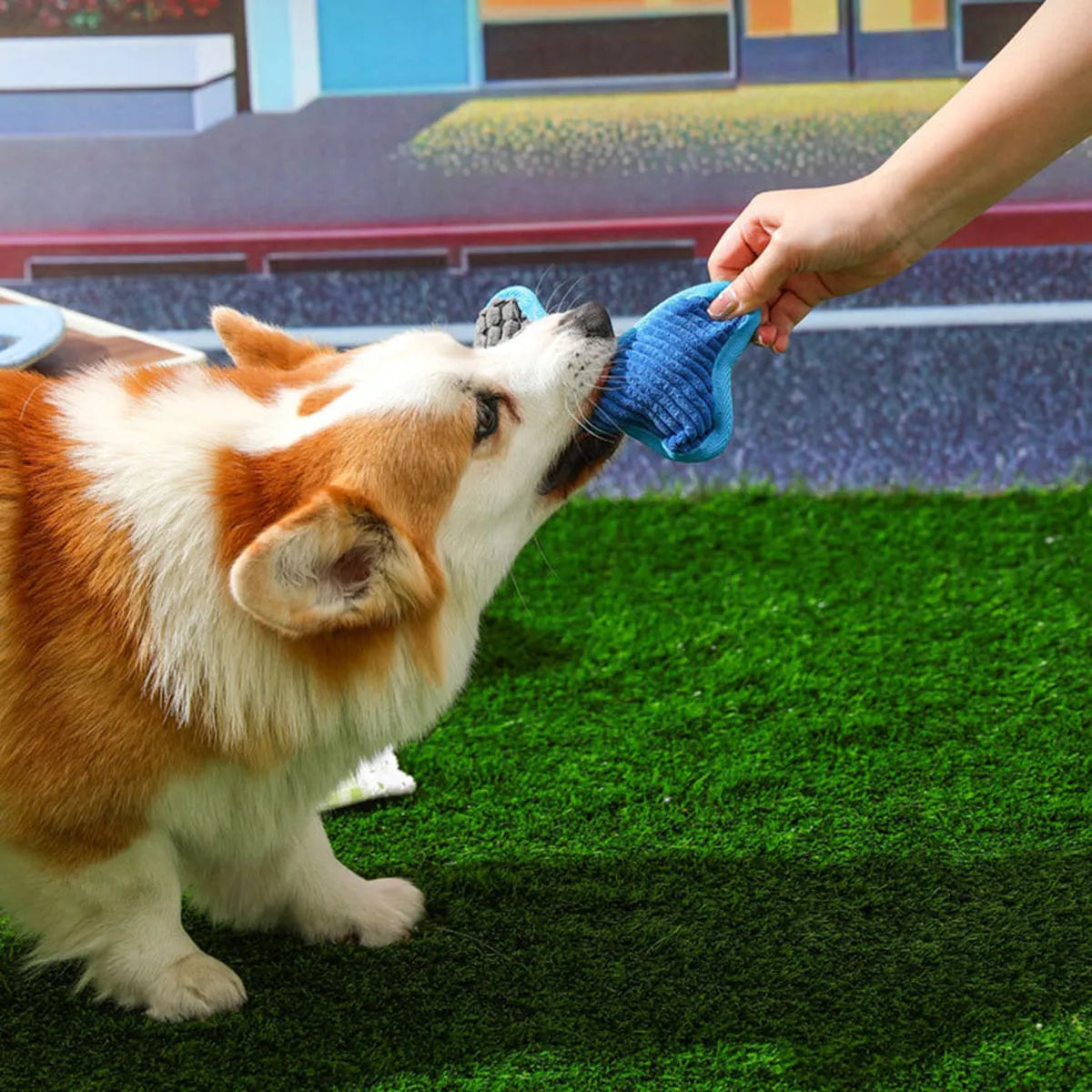 Blue plush teddy dog toy attached to a bone shape with corn fleece lining for bite-resistant chewing.