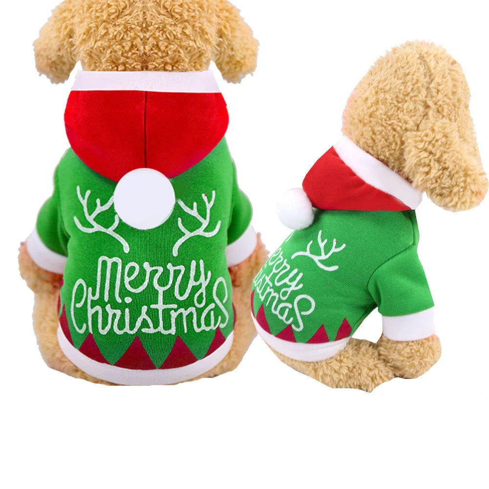 Stylish pet clothing collection featuring a range of cozy and fashionable outfits for dogs and cats